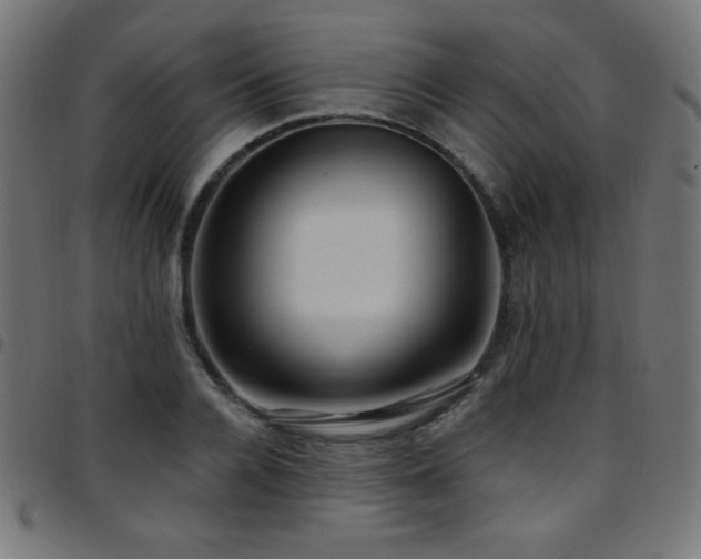 X0000097750936200803071245