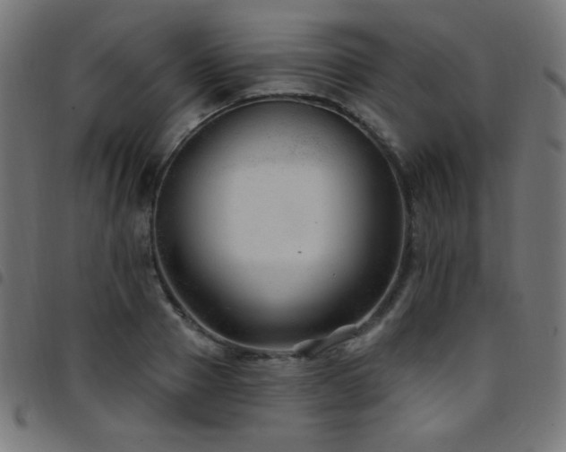 X0000097750937200803071245