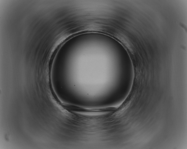 X0000097750939200803071245