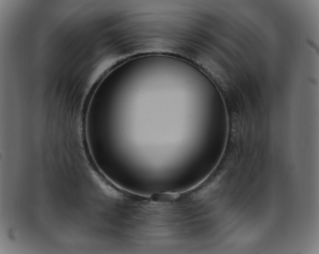 X0000097750942200803071245