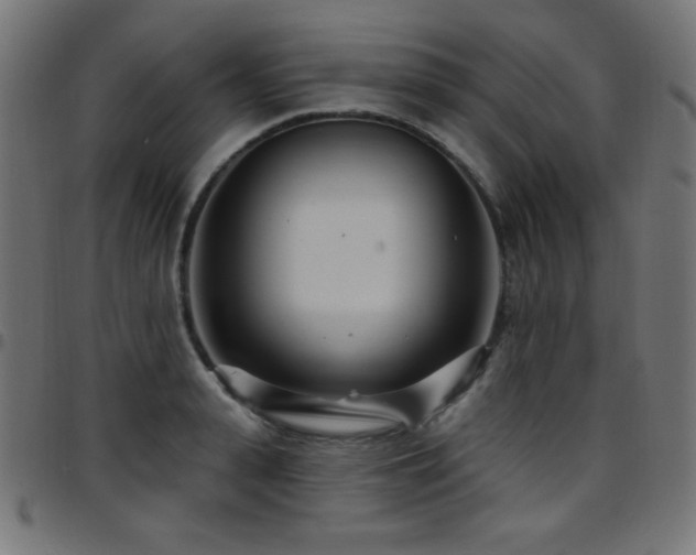 X0000097750943200803071245