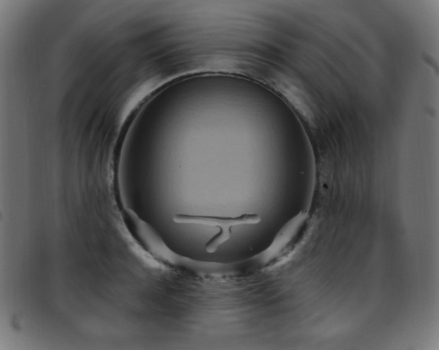 X0000097750944200803071245