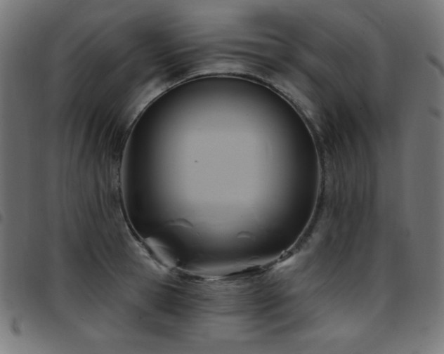 X0000097750945200803071245