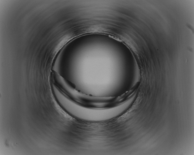 X0000097750946200803071245