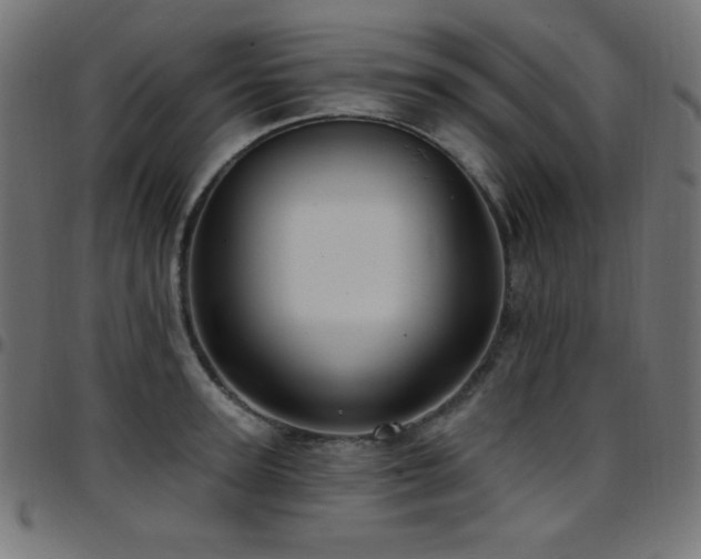 X0000097750947200803071245