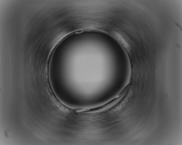 X0000097750948200803071245