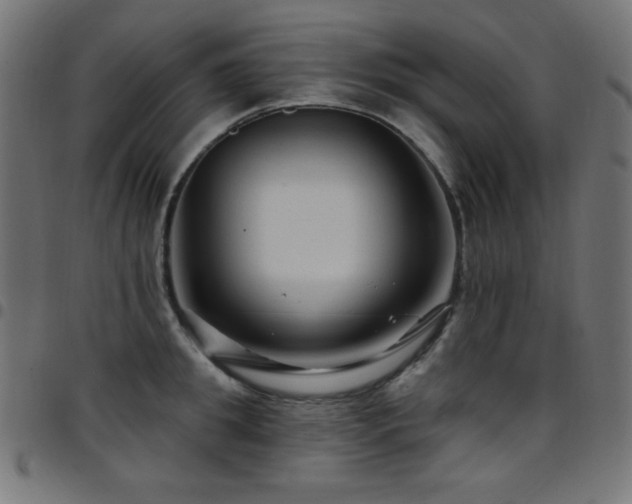 X0000097750949200803071245