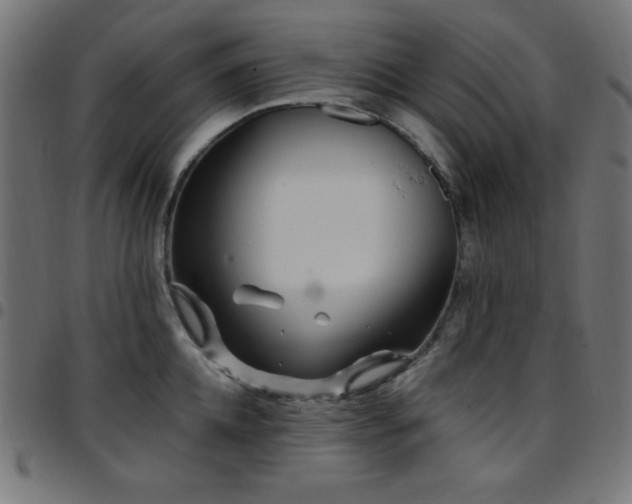 X0000097750952200803071245