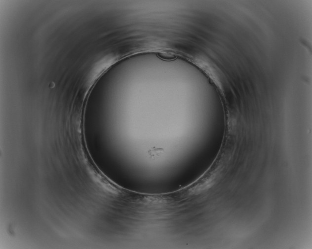 X0000097750954200803071245