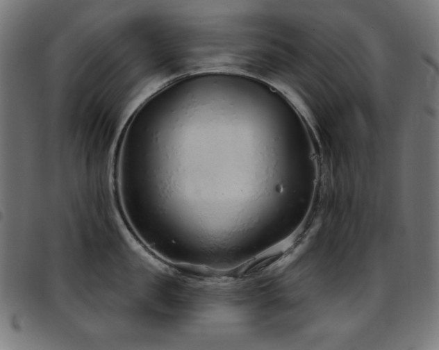 X0000097750957200803071245