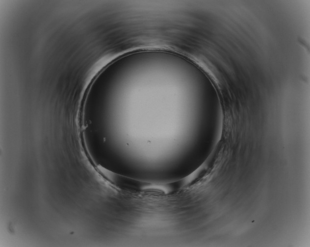 X0000097750959200803071245