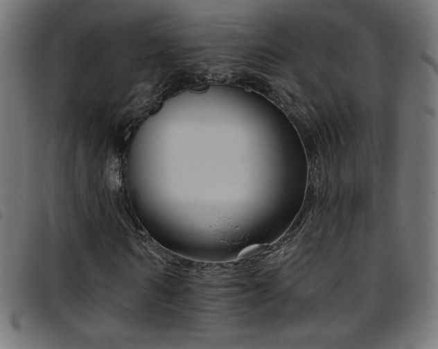 X0000097750962200803071245