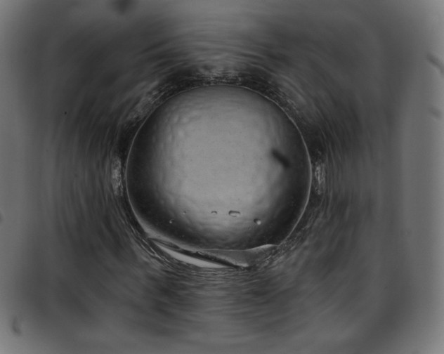 X0000097750963200803071245