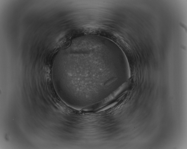 X0000097750964200803071245