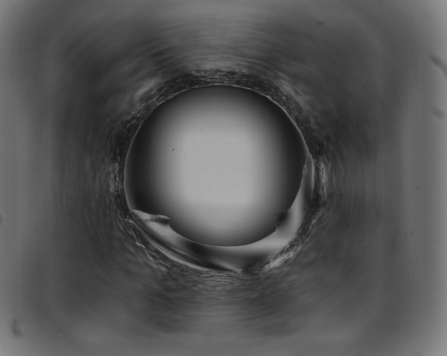 X0000097750965200803071245