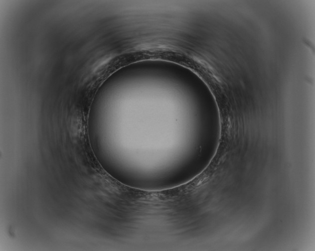 X0000097750966200803071245