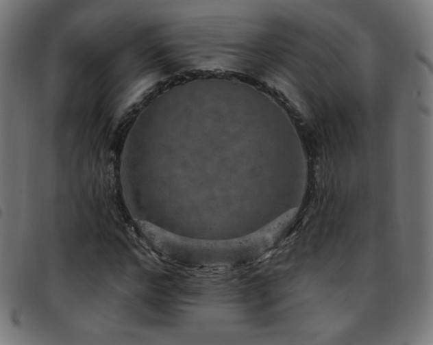 X0000097750968200803071244