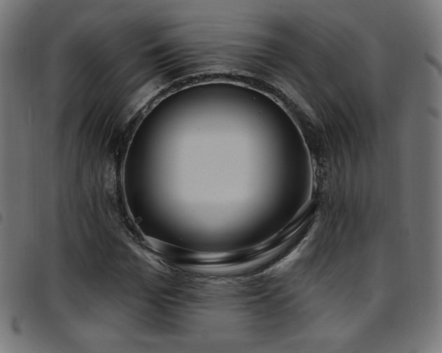 X0000097750969200803071244