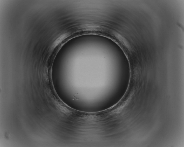 X0000097750970200803071244