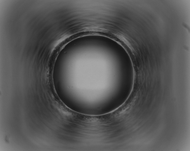 X0000097750971200803071244