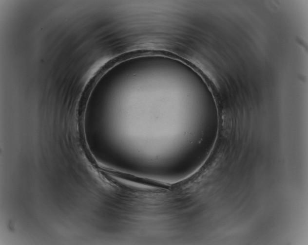 X0000097750972200803071244