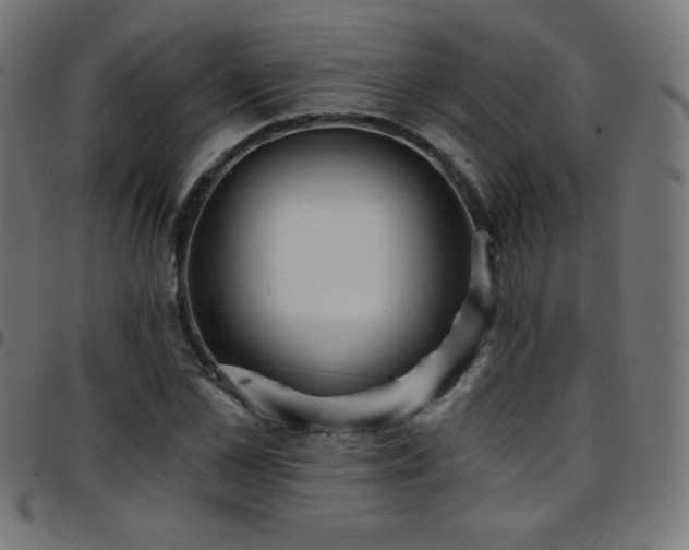 X0000097750973200803071244