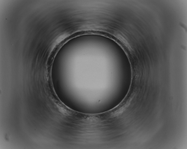 X0000097750974200803071244