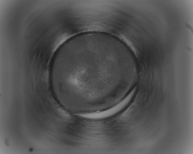 X0000097750975200803071244