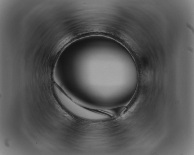 X0000097750977200803071244