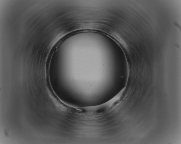 X0000097750980200803071244