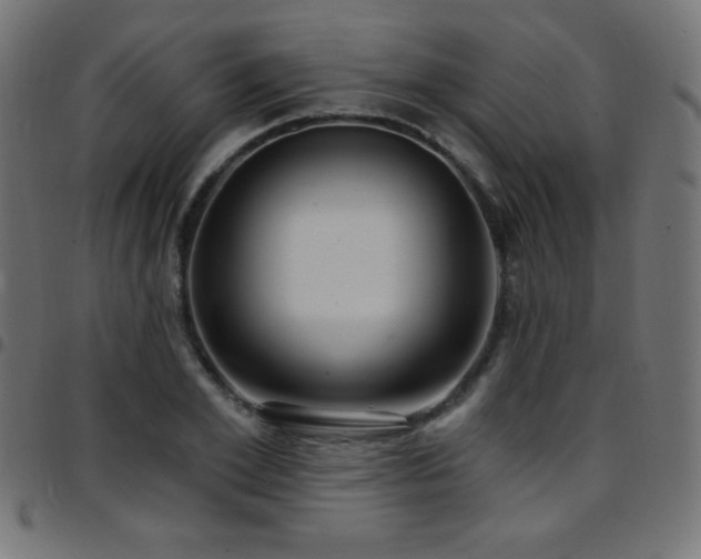 X0000097750981200803071244