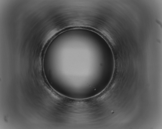 X0000097750982200803071244