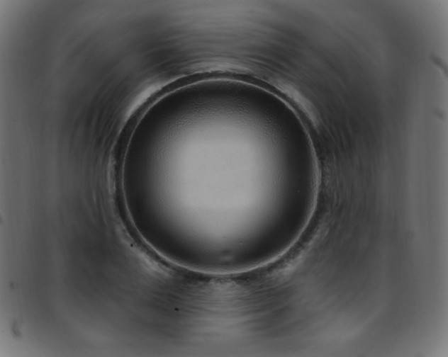 X0000097750983200803071244