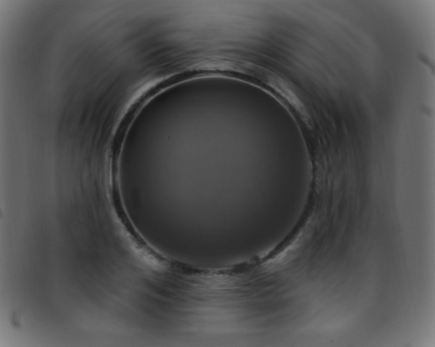 X0000097750984200803071244