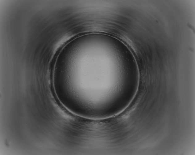X0000097750987200803071244