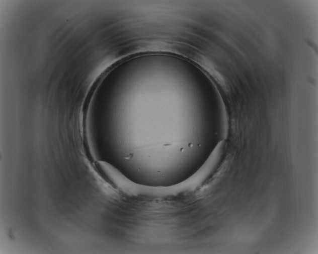 X0000097750988200803071244