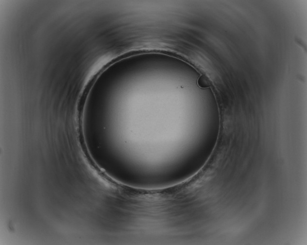 X0000097750990200803071244