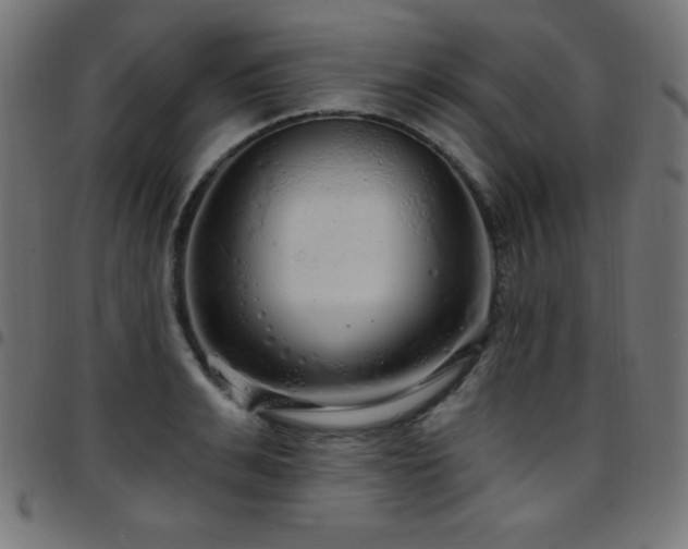 X0000097750991200803071244
