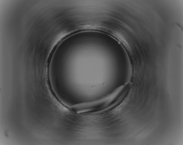 X0000097750992200803071244