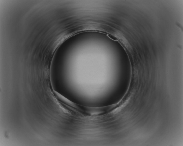 X0000097750993200803071244