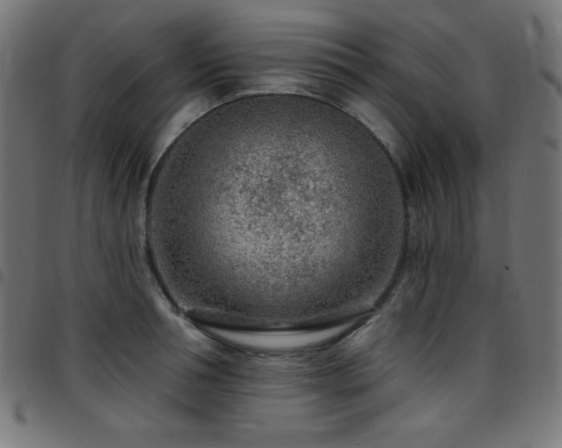 X0000097750994200803071244