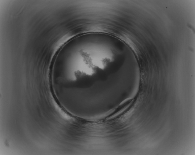X0000097750995200803071244