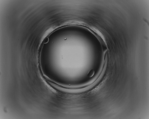 X0000097750997200803071244