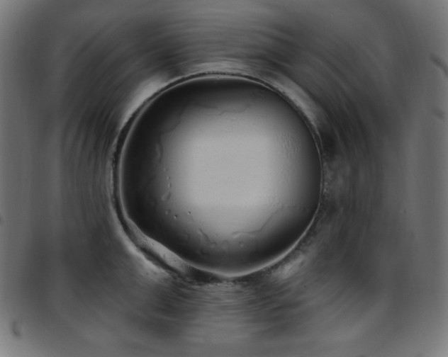 X0000097750999200803071244