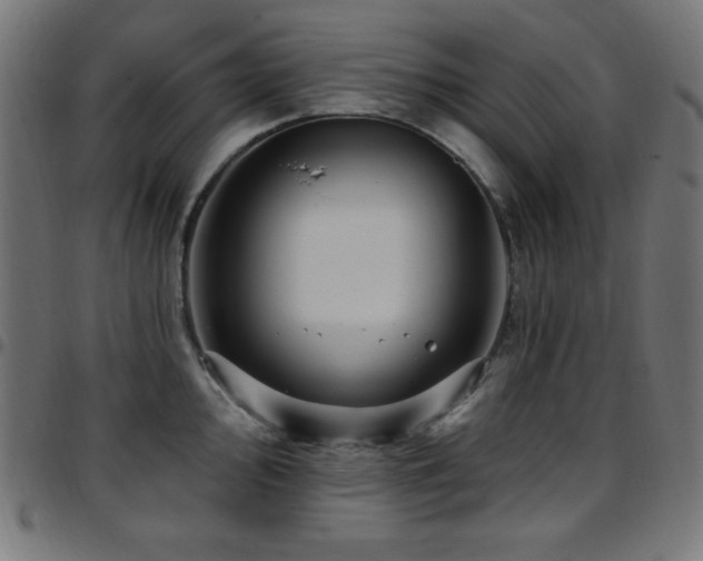 X0000097751000200803071244