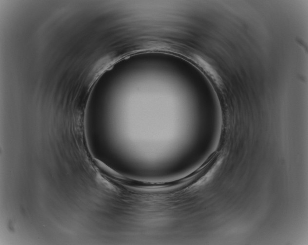 X0000097751001200803071244