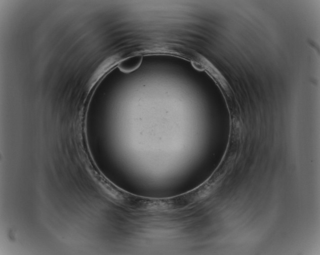 X0000097751002200803071244