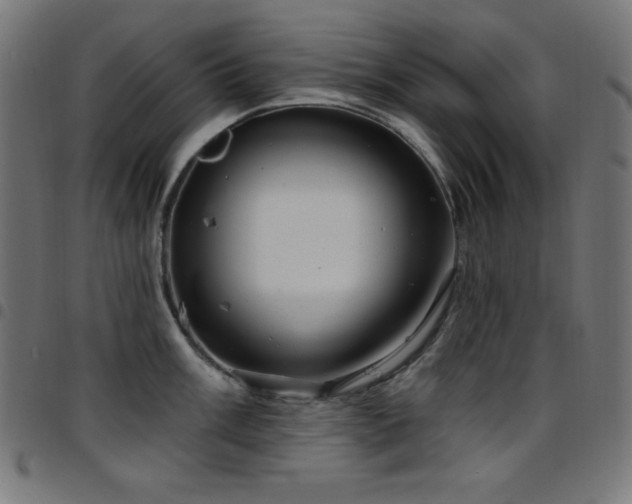 X0000097751003200803071244