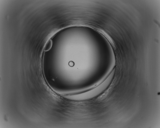 X0000097751004200803071244