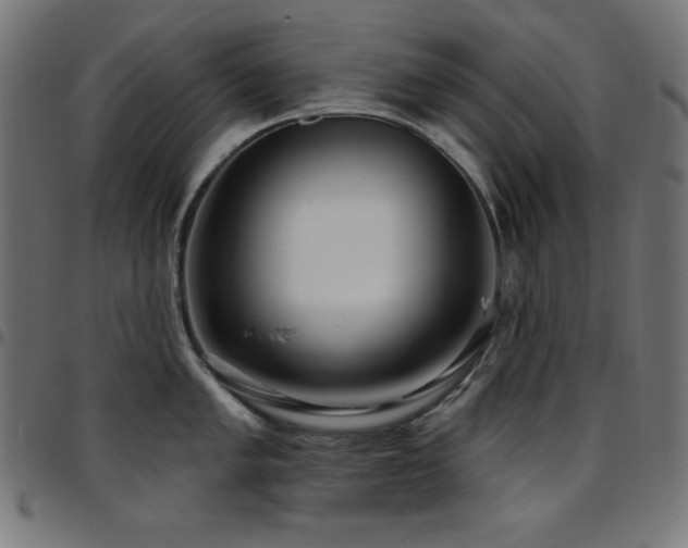 X0000097751005200803071244